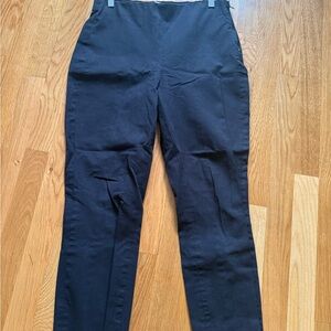 Everlane Women's Black Stretch Crop Pants